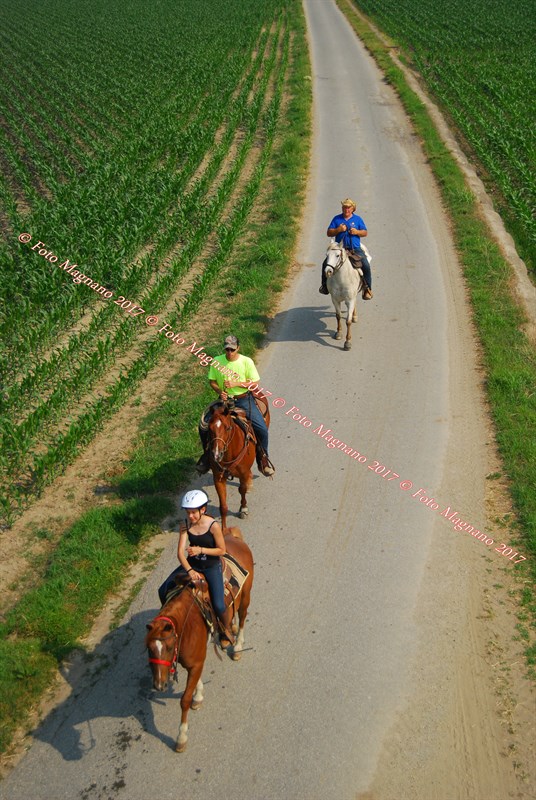 DSC_4985.JPG